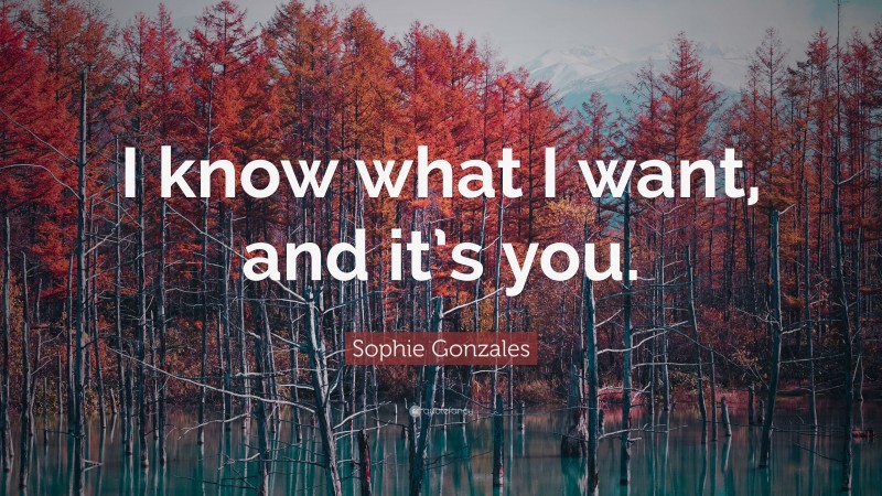 Sophie Gonzales Quote: “I know what I want, and it’s you.”