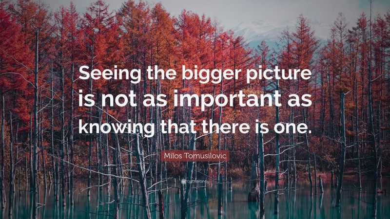 Milos Tomusilovic Quote: “Seeing the bigger picture is not as important as knowing that there is one.”