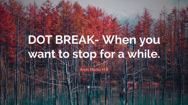 Aron Micko H.B Quote: “DOT BREAK- When you want to stop for a while.”