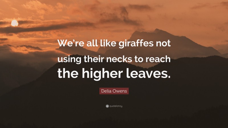 Delia Owens Quote: “We’re all like giraffes not using their necks to reach the higher leaves.”