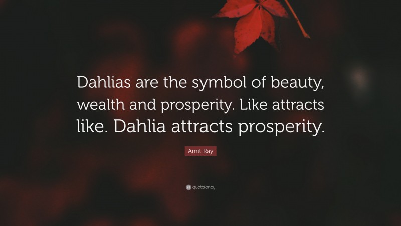 Amit Ray Quote: “Dahlias are the symbol of beauty, wealth and prosperity. Like attracts like. Dahlia attracts prosperity.”