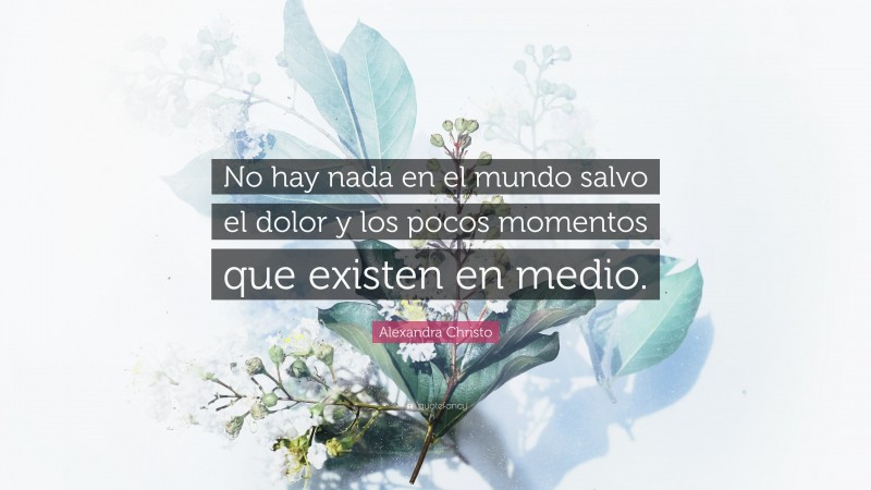 Alexandra Christo Quote: “No hay nada en el mundo salvo el dolor y los pocos momentos que existen en medio.”