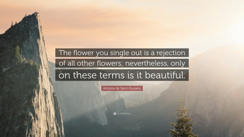 Antoine de Saint-Exupéry Quote: “The flower you single out is a rejection of all other flowers; nevertheless, only on these terms is it beautiful.”