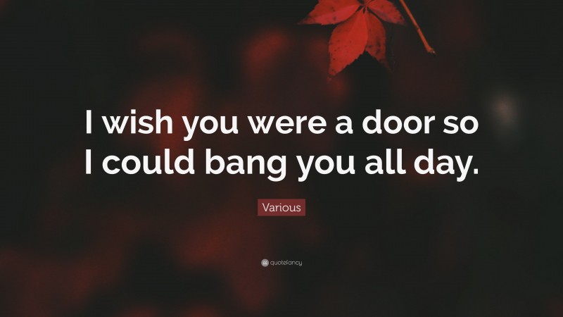 Various Quote: “I wish you were a door so I could bang you all day.”
