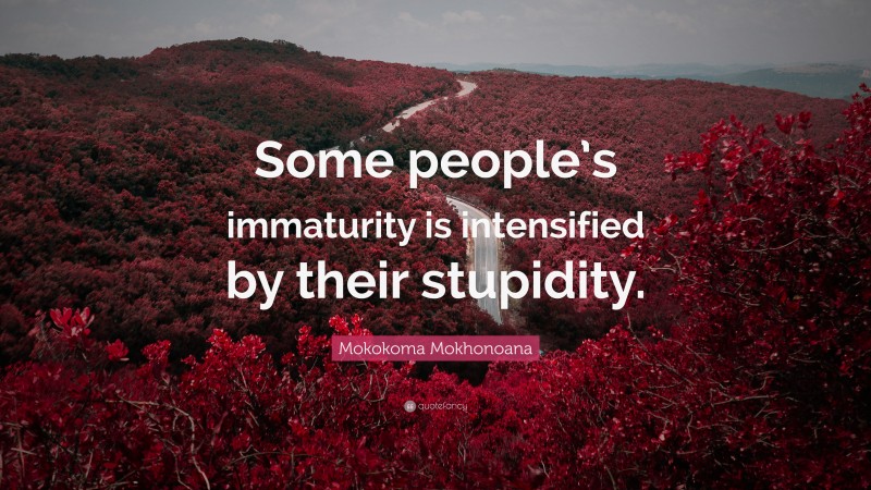 Mokokoma Mokhonoana Quote: “Some people’s immaturity is intensified by their stupidity.”