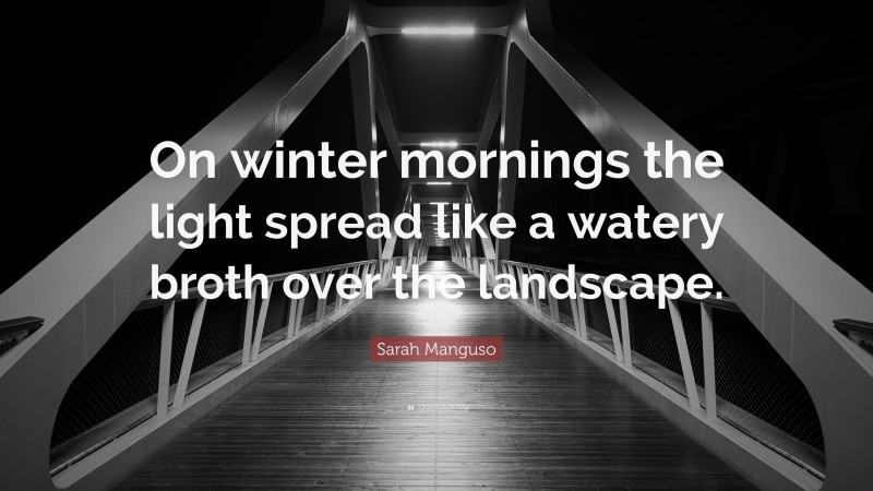 Sarah Manguso Quote: “On winter mornings the light spread like a watery broth over the landscape.”