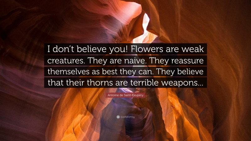 Antoine de Saint-Exupéry Quote: “I don’t believe you! Flowers are weak creatures. They are naive. They reassure themselves as best they can. They believe that their thorns are terrible weapons...”