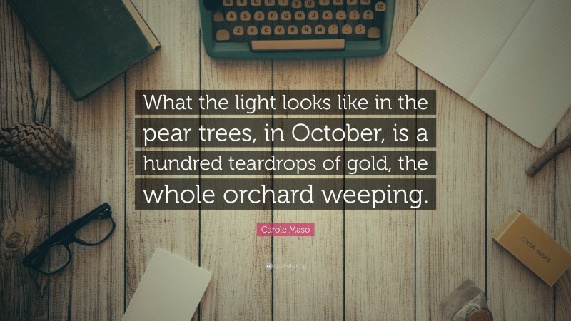 Carole Maso Quote: “What the light looks like in the pear trees, in October, is a hundred teardrops of gold, the whole orchard weeping.”