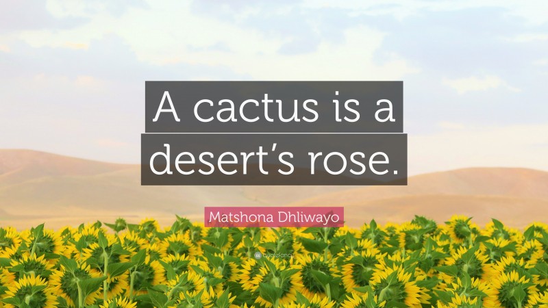 Matshona Dhliwayo Quote: “A cactus is a desert’s rose.”