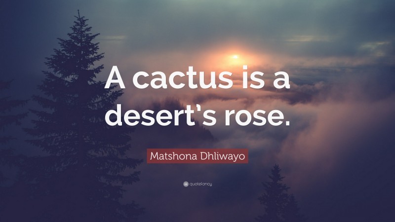 Matshona Dhliwayo Quote: “A cactus is a desert’s rose.”