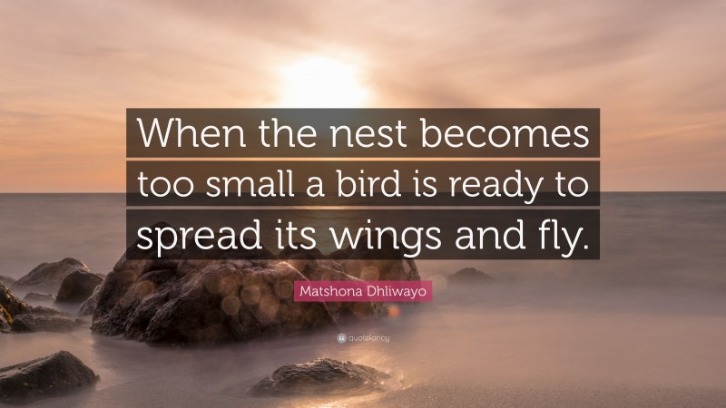 Matshona Dhliwayo Quote: “When the nest becomes too small a bird is ready to spread its wings and fly.”