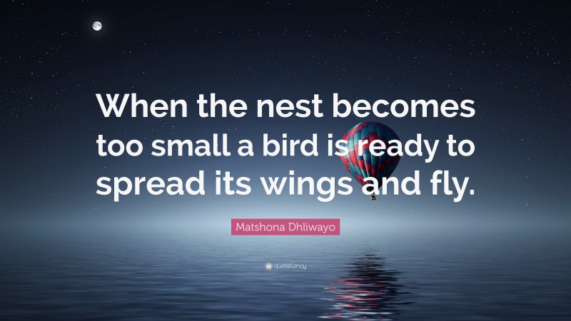 Matshona Dhliwayo Quote: “When the nest becomes too small a bird is ready to spread its wings and fly.”