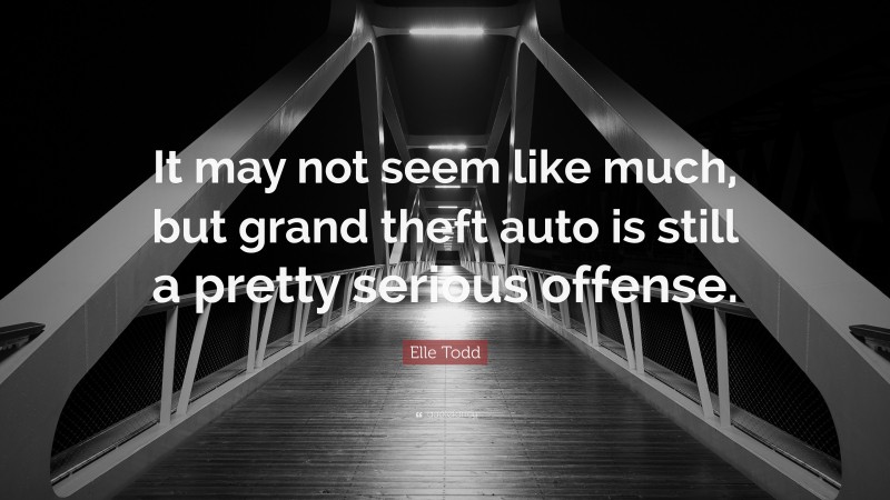 Elle Todd Quote: “It may not seem like much, but grand theft auto is still a pretty serious offense.”