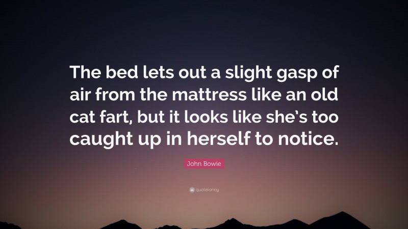 John Bowie Quote: “The bed lets out a slight gasp of air from the mattress like an old cat fart, but it looks like she’s too caught up in herself to notice.”