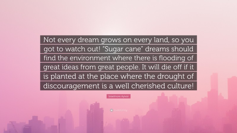 Israelmore Ayivor Quote: “Not every dream grows on every land, so you got to watch out! “Sugar cane” dreams should find the environment where there is flooding of great ideas from great people. It will die off if it is planted at the place where the drought of discouragement is a well cherished culture!”