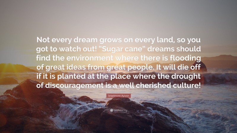 Israelmore Ayivor Quote: “Not every dream grows on every land, so you got to watch out! “Sugar cane” dreams should find the environment where there is flooding of great ideas from great people. It will die off if it is planted at the place where the drought of discouragement is a well cherished culture!”