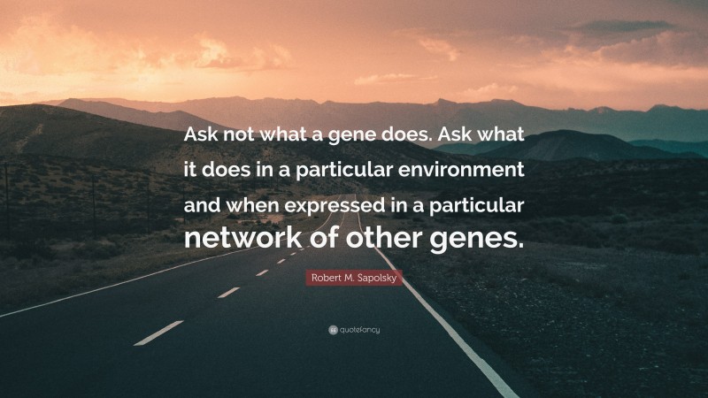 Robert M. Sapolsky Quote: “Ask not what a gene does. Ask what it does in a particular environment and when expressed in a particular network of other genes.”