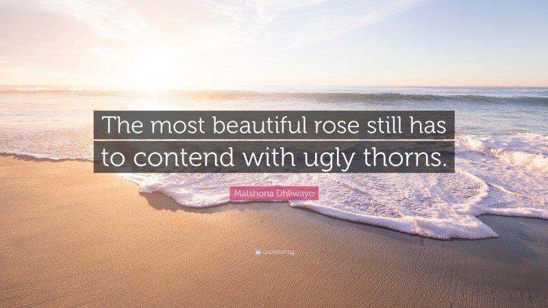 Matshona Dhliwayo Quote: “The most beautiful rose still has to contend with ugly thorns.”