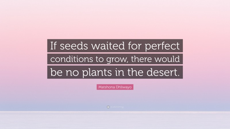 Matshona Dhliwayo Quote: “If seeds waited for perfect conditions to grow, there would be no plants in the desert.”