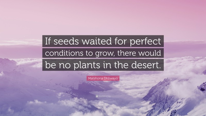 Matshona Dhliwayo Quote: “If seeds waited for perfect conditions to grow, there would be no plants in the desert.”