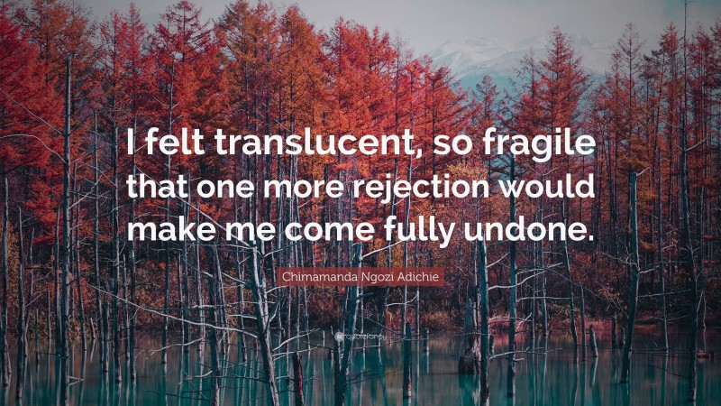 Chimamanda Ngozi Adichie Quote: “I felt translucent, so fragile that one more rejection would make me come fully undone.”