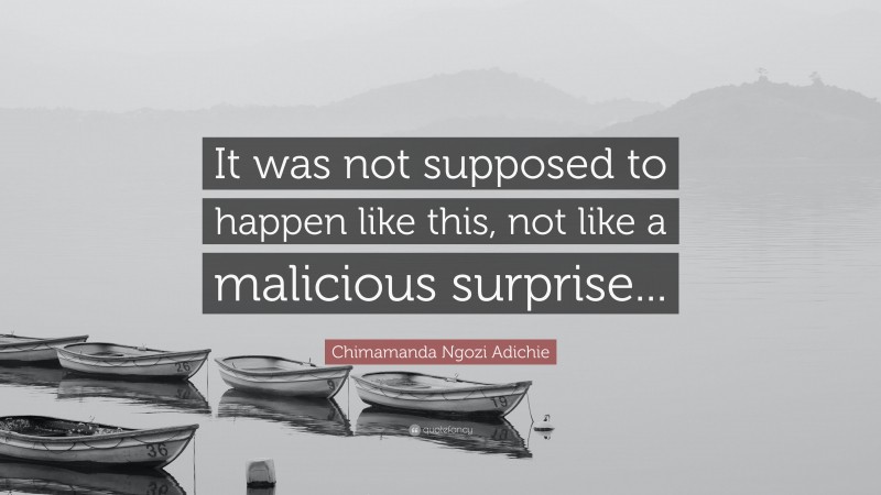 Chimamanda Ngozi Adichie Quote: “It was not supposed to happen like this, not like a malicious surprise...”