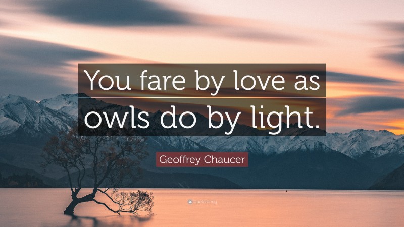 Geoffrey Chaucer Quote: “You fare by love as owls do by light.”