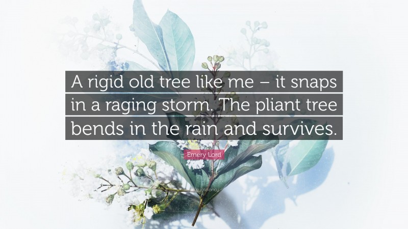 Emery Lord Quote: “A rigid old tree like me – it snaps in a raging storm. The pliant tree bends in the rain and survives.”