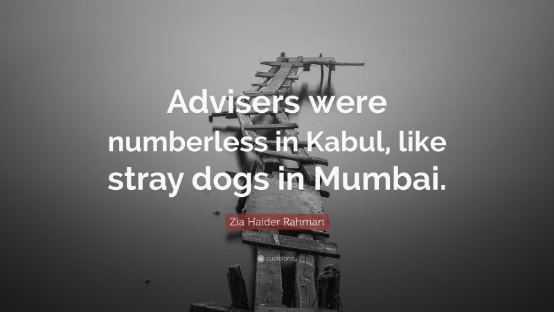 Zia Haider Rahman Quote: “Advisers were numberless in Kabul, like stray dogs in Mumbai.”
