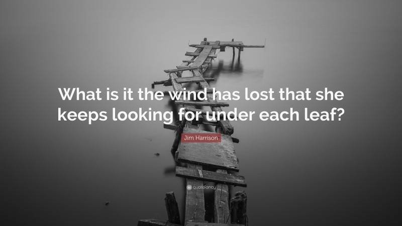 Jim Harrison Quote: “What is it the wind has lost that she keeps looking for under each leaf?”