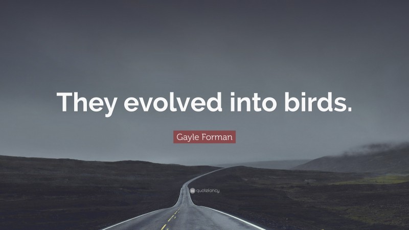 Gayle Forman Quote: “They evolved into birds.”