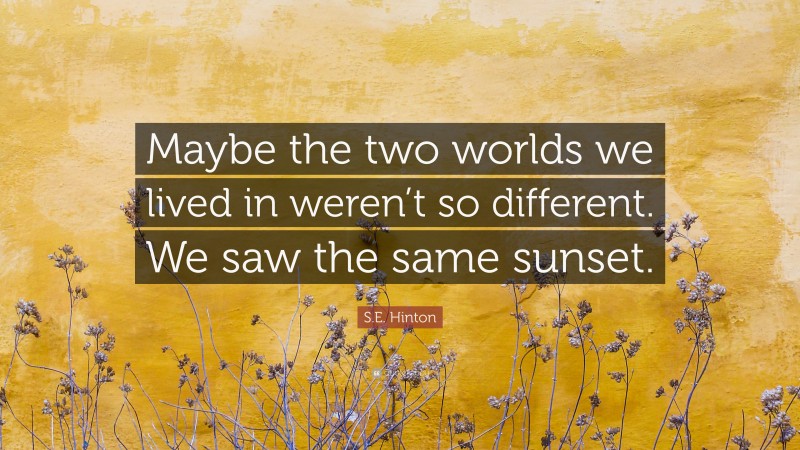 S.E. Hinton Quote: “Maybe the two worlds we lived in weren’t so different. We saw the same sunset.”