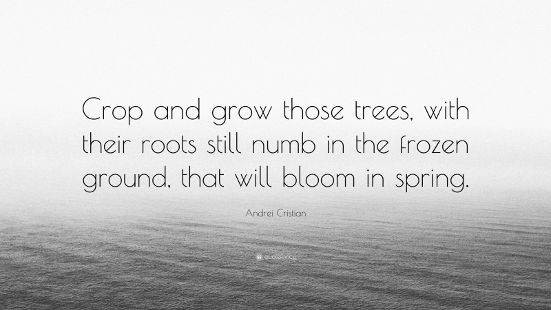 Andrei Cristian Quote: “Crop and grow those trees, with their roots still numb in the frozen ground, that will bloom in spring.”