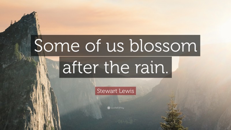 Stewart Lewis Quote: “Some of us blossom after the rain.”