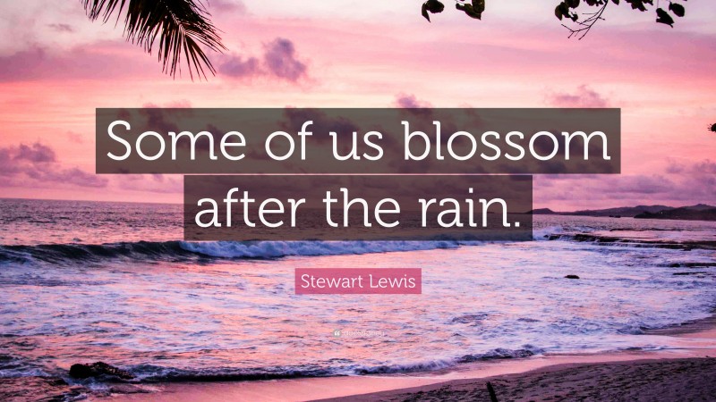 Stewart Lewis Quote: “Some of us blossom after the rain.”
