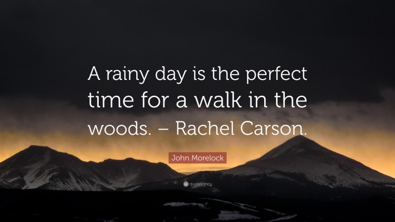 John Morelock Quote: “A rainy day is the perfect time for a walk in the woods. – Rachel Carson.”