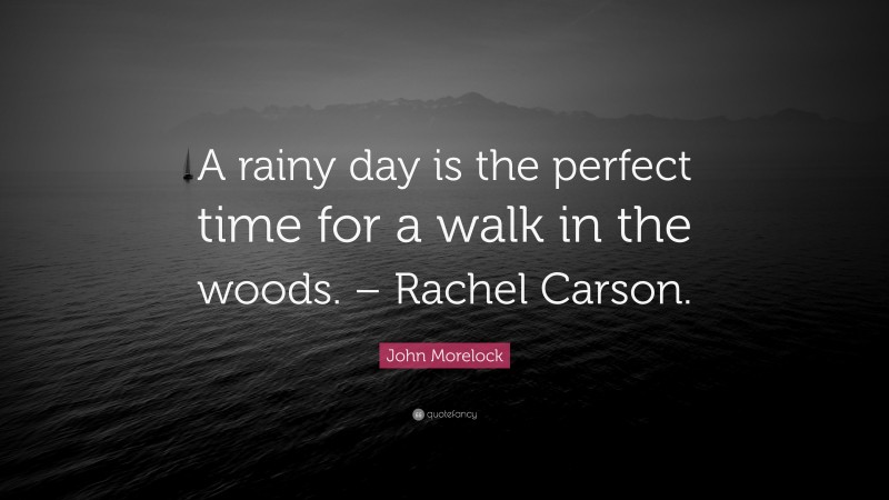 John Morelock Quote: “A rainy day is the perfect time for a walk in the woods. – Rachel Carson.”