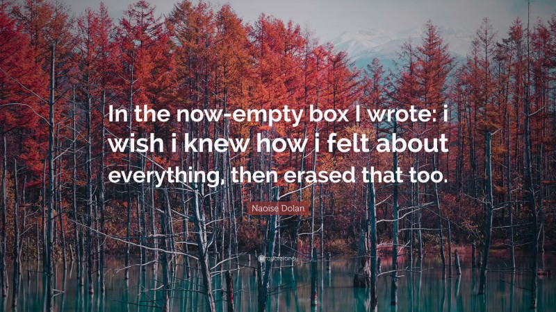 Naoise Dolan Quote: “In the now-empty box I wrote: i wish i knew how i felt about everything, then erased that too.”