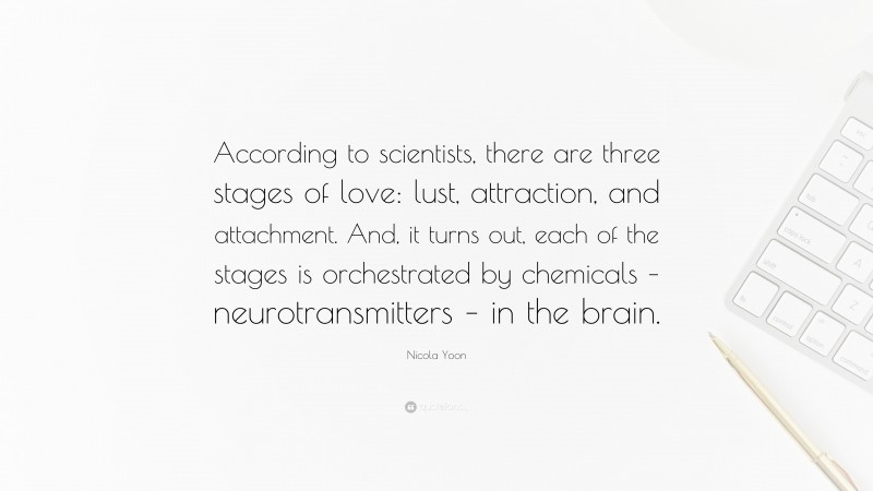 Nicola Yoon Quote: “According to scientists, there are three stages of love: lust, attraction, and attachment. And, it turns out, each of the stages is orchestrated by chemicals – neurotransmitters – in the brain.”