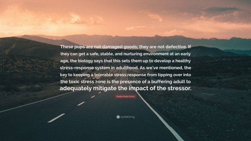 Nadine Burke Harris Quote: “These pups are not damaged goods; they are not defective. If they can get a safe, stable, and nurturing environment at an early age, the biology says that this sets them up to develop a healthy stress-response system in adulthood. As we’ve mentioned, the key to keeping a tolerable stress response from tipping over into the toxic stress zone is the presence of a buffering adult to adequately mitigate the impact of the stressor.”