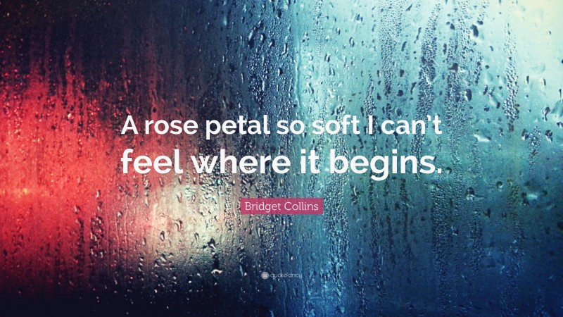 Bridget Collins Quote: “A rose petal so soft I can’t feel where it begins.”