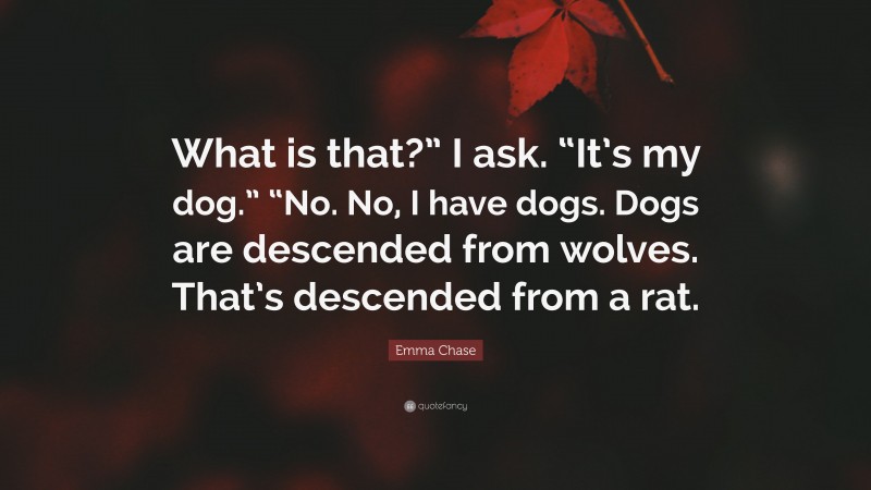 Emma Chase Quote: “What is that?” I ask. “It’s my dog.” “No. No, I have dogs. Dogs are descended from wolves. That’s descended from a rat.”