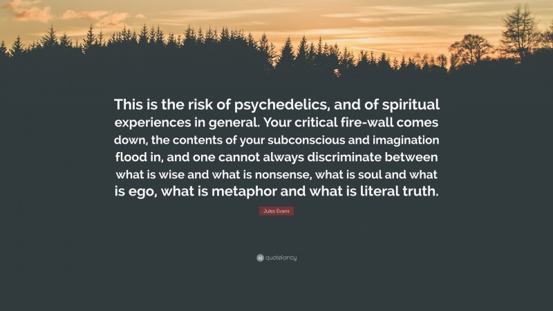 Jules Evans Quote: “This is the risk of psychedelics, and of spiritual experiences in general. Your critical fire-wall comes down, the contents of your subconscious and imagination flood in, and one cannot always discriminate between what is wise and what is nonsense, what is soul and what is ego, what is metaphor and what is literal truth.”