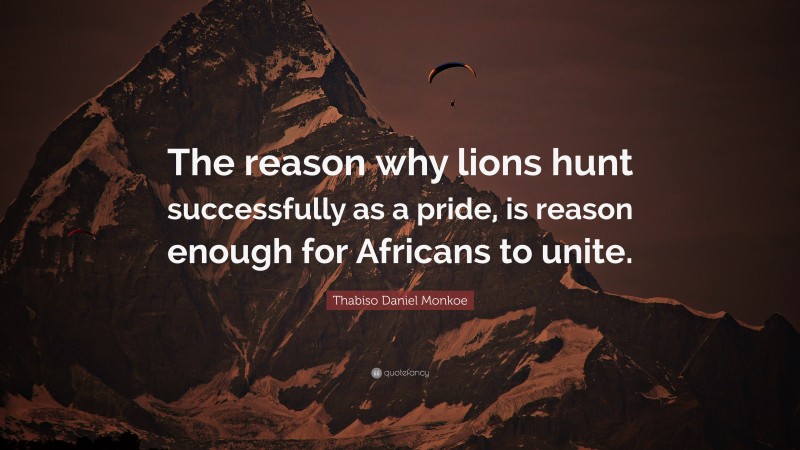 Thabiso Daniel Monkoe Quote: “The reason why lions hunt successfully as a pride, is reason enough for Africans to unite.”
