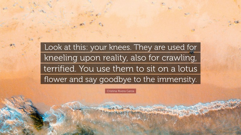 Cristina Rivera Garza Quote: “Look at this: your knees. They are used for kneeling upon reality, also for crawling, terrified. You use them to sit on a lotus flower and say goodbye to the immensity.”