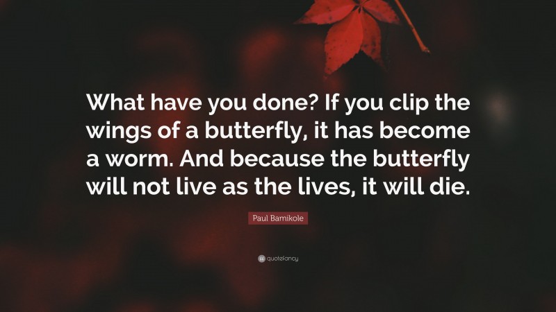 Paul Bamikole Quote: “What have you done? If you clip the wings of a butterfly, it has become a worm. And because the butterfly will not live as the lives, it will die.”