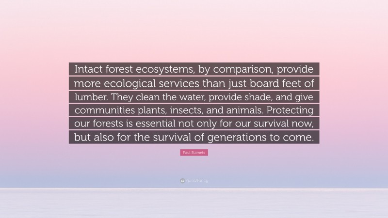 Paul Stamets Quote: “Intact forest ecosystems, by comparison, provide more ecological services than just board feet of lumber. They clean the water, provide shade, and give communities plants, insects, and animals. Protecting our forests is essential not only for our survival now, but also for the survival of generations to come.”