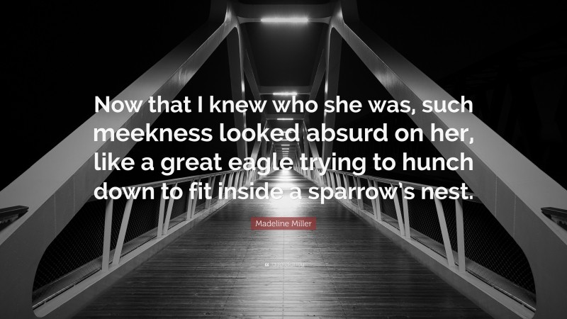 Madeline Miller Quote: “Now that I knew who she was, such meekness looked absurd on her, like a great eagle trying to hunch down to fit inside a sparrow’s nest.”