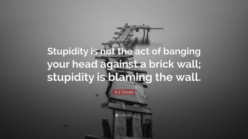 A.J. Goode Quote: “Stupidity is not the act of banging your head against a brick wall; stupidity is blaming the wall.”