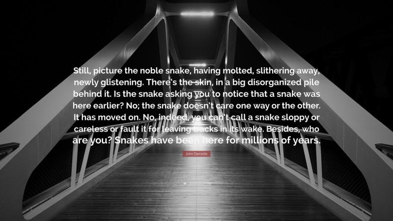 John Darnielle Quote: “Still, picture the noble snake, having molted, slithering away, newly glistening. There’s the skin, in a big disorganized pile behind it. Is the snake asking you to notice that a snake was here earlier? No; the snake doesn’t care one way or the other. It has moved on. No, indeed, you can’t call a snake sloppy or careless or fault it for leaving tracks in its wake. Besides, who are you? Snakes have been here for millions of years.”